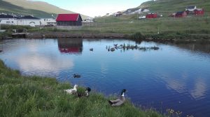 img_20170709_192021